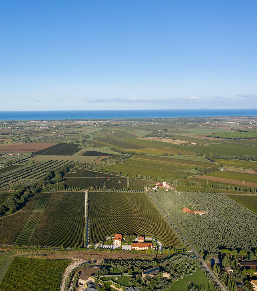 Campo Alla Sughera | Bolgheri