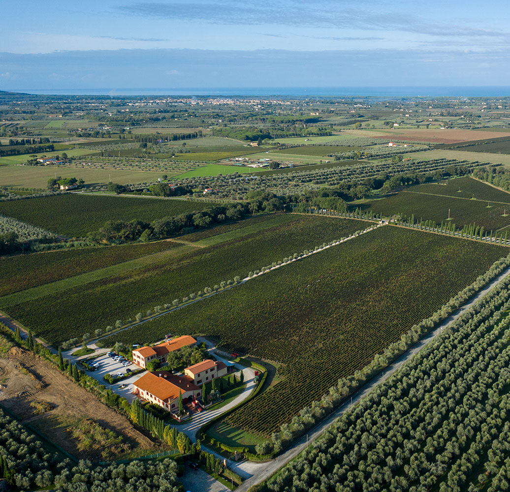 Campo Alla Sughera | Bolgheri