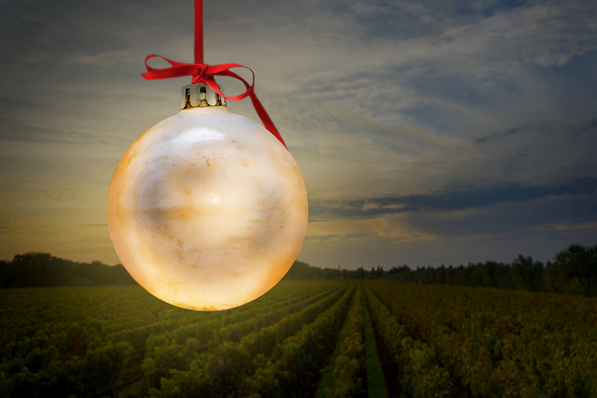 Festeggia con noi il Natale | Campo Alla Sughera | Bolgheri